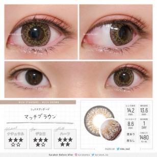 RICH STANDARD MuchBrown 日拋10片裝